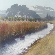Marazion Marshes - Caroline Atkinson